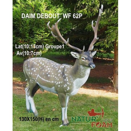 Cel łuczniczy 3D Natur Foam Daniel Cel łuczniczy 3D Natur Foam Daniel