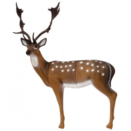Cel łuczniczy 3D SRT Daniel Cel łuczniczy 3D SRT Daniel